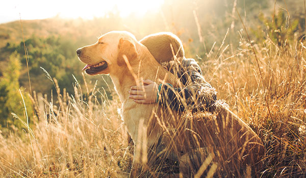 Menino com o braço em volta do cachorro