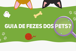 Dicas de Socialização para Cães e Gatos