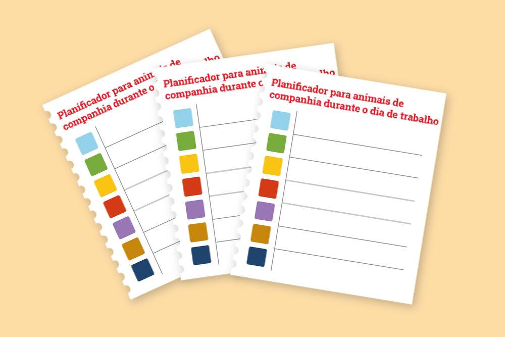 Dicas de Socialização para Cães e Gatos