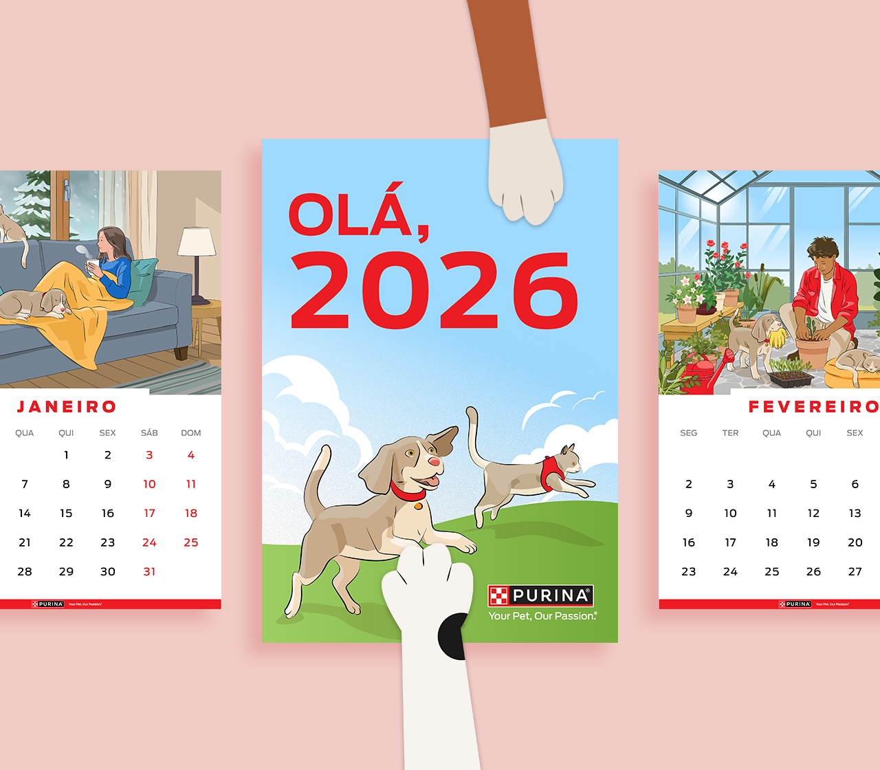 Calendário Cão e Gato