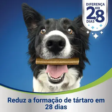 PURINA DENTALIFE Snack para Cão Adulto Grande