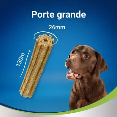 PURINA DENTALIFE Snack para Cão Adulto Grande