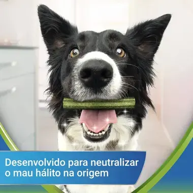 PURINA DENTALIFE ActivFresh para cães de porte grande