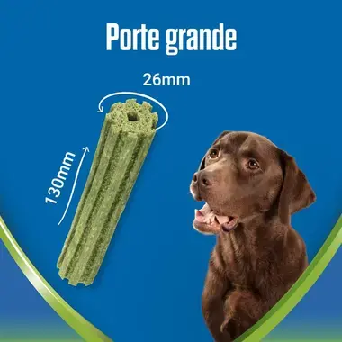 PURINA DENTALIFE ActivFresh para cães de porte grande