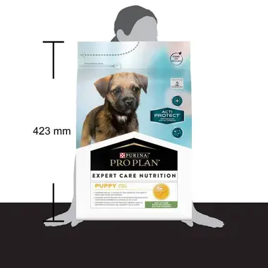 PRO PLAN ACTI-PROTECT Small & Mini Puppy / Pequeno & Mini Cachorro Rico em Borrego