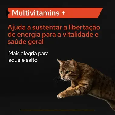 PRO PLAN® Supplement Multivitamin | Multivitaminas Suplemento para Gato em Pó