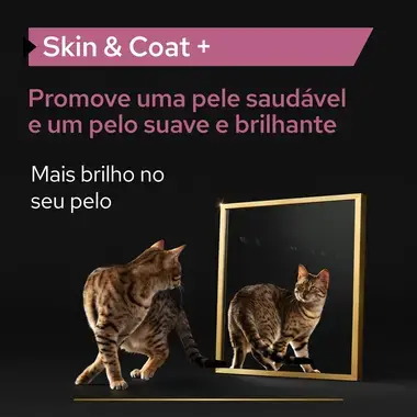 PRO PLAN® Cat Skin & Coat | Pele e Pelo Suplemento para Gato em Óleo