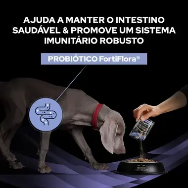 PRO PLAN Canine Fortiflora®