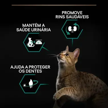 PRO PLAN Esterilizado Adulto 1+ RENAL PLUS Rico em Peru