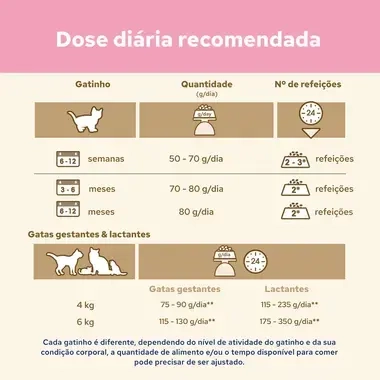 PURINA CAT CHOW Kitten Rico em Frango