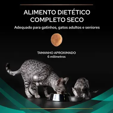 7613287597496 PRO PLAN VETERINARY DIETS Feline EN St/Ox Gastrointestinal