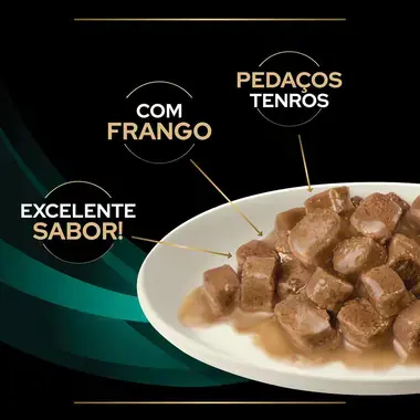 8445290046079 PRO PLAN VETERINARY DIETS Feline EN St/Ox Gastrointestinal Saquetas com Frango