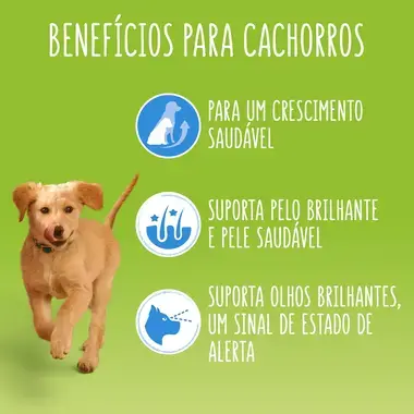7613035800885 FRISKIES JUNIOR com Frango - Húmido cão