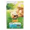 7613033772627 FRISKIES LIGHT Frango - Seco Cão