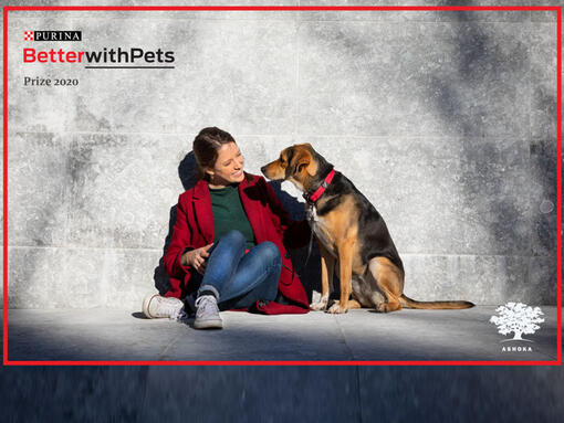 Melhor com animais de estimação prêmio mulher sentada com cachorro