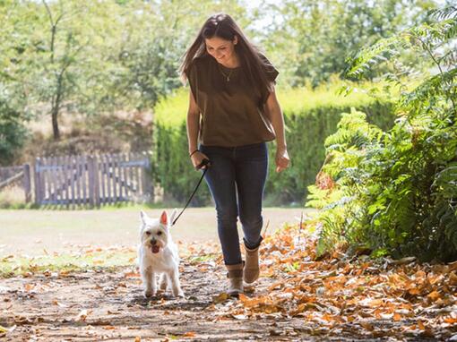 Mulher a passear com um cachorro lá fora