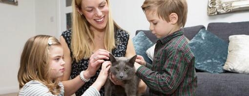 Mudar de casa com o seu gato