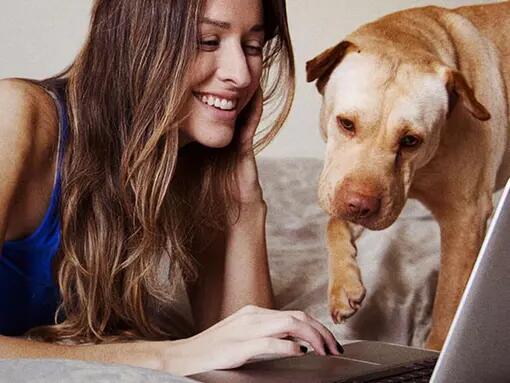 Mulher a olhar para o computador com o seu cão