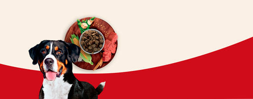 Purina One