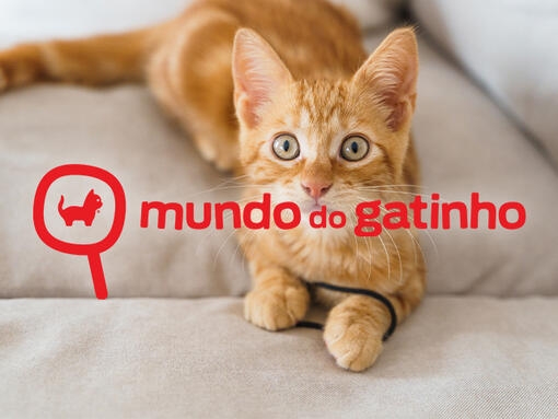 Logo Mundo do Gatinho e gatinho