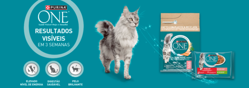 Purina ONE® Bifensis® receita Grain Free