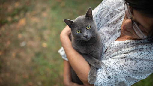 Gato cinzento ao colo da dona no jardim