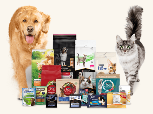 Gama de marcas e produtos da Purina para cães e gatos