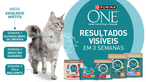 Purina ONE 