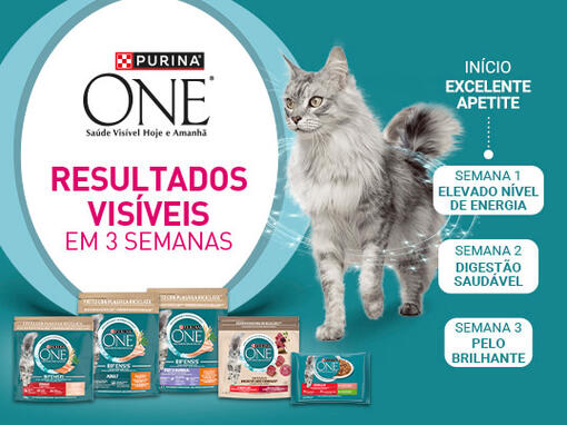 Purina ONE 