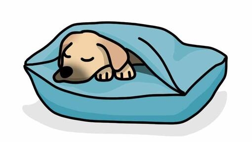 ilustração de cão a dormir sob cobertor