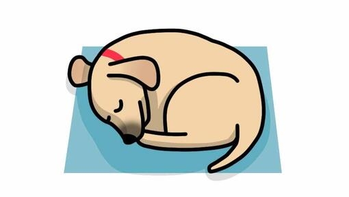 ilustração de cão a dormir na posição de donut