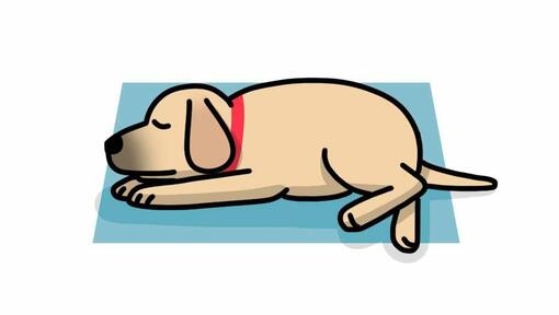 ilustração de cão a dormir em pose de leão