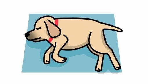 ilustração de cão a dormir de lado