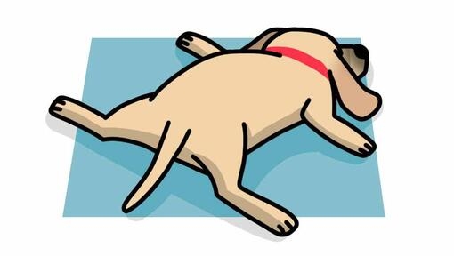 ilustração de cão a dormir de bruços