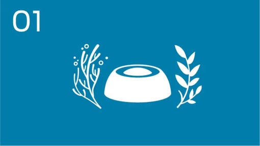 INOVAR A NUTRIÇÃO DOS ANIMAIS DE COMPANHIA E ORIGEM DOS INGREDIENTES ATRAVÉS DE PRÁTICAS REGENERATIVAS