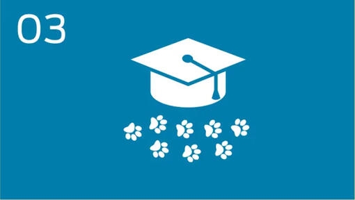 PROMOVER PROGRAMAS SOBRE COMO SER UM TUTOR RESPONSÁVEL