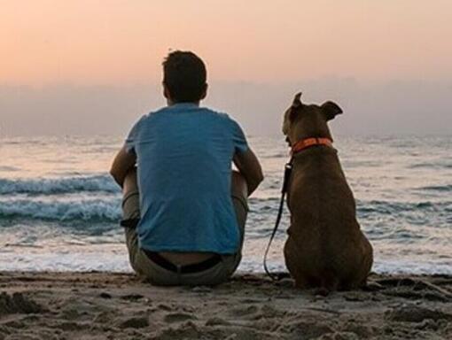 Homem e o seu cão sentados numa praia