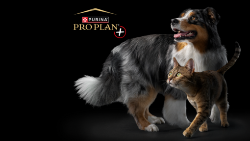 Programa PRO PLAN+
