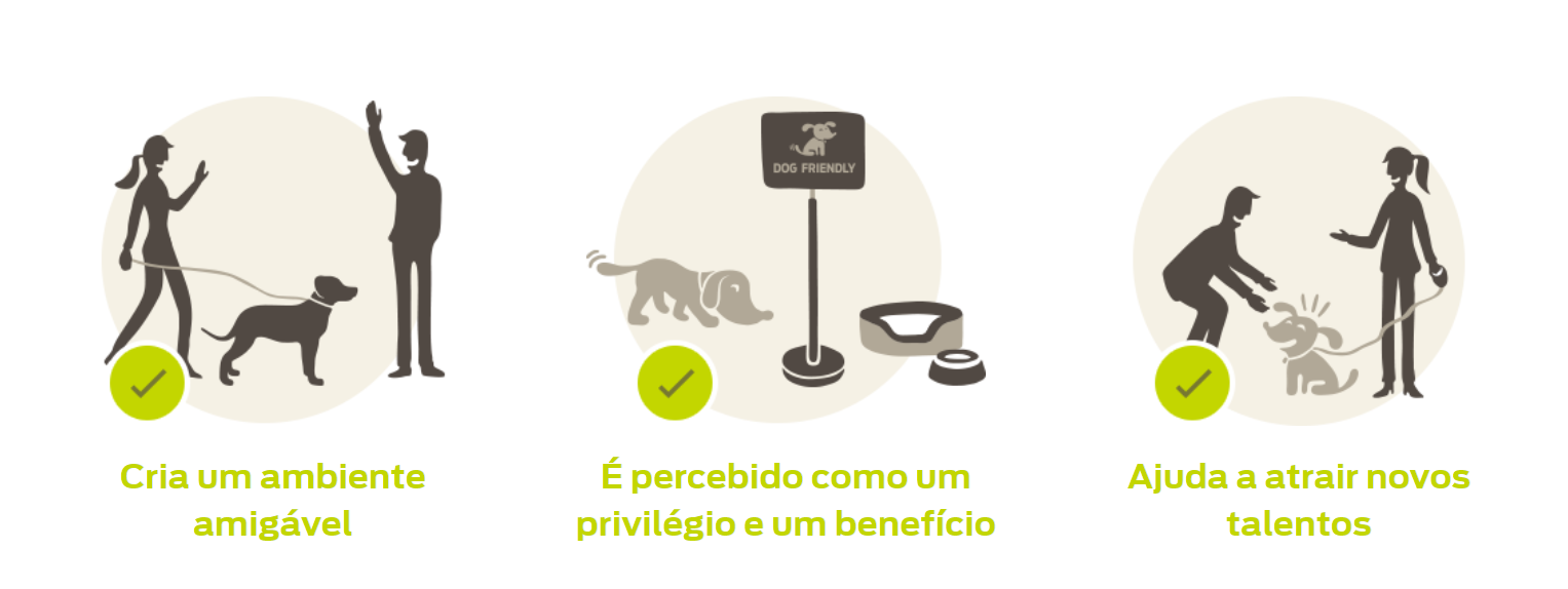 Empresa pet friendly: descubra os benefícios da companhia de animais de  estimação no trabalho - Onze